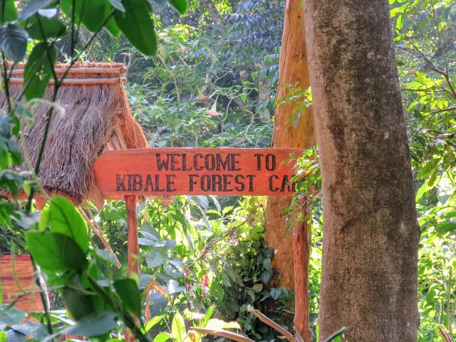 Kibale Forest Camp sign in Uganda