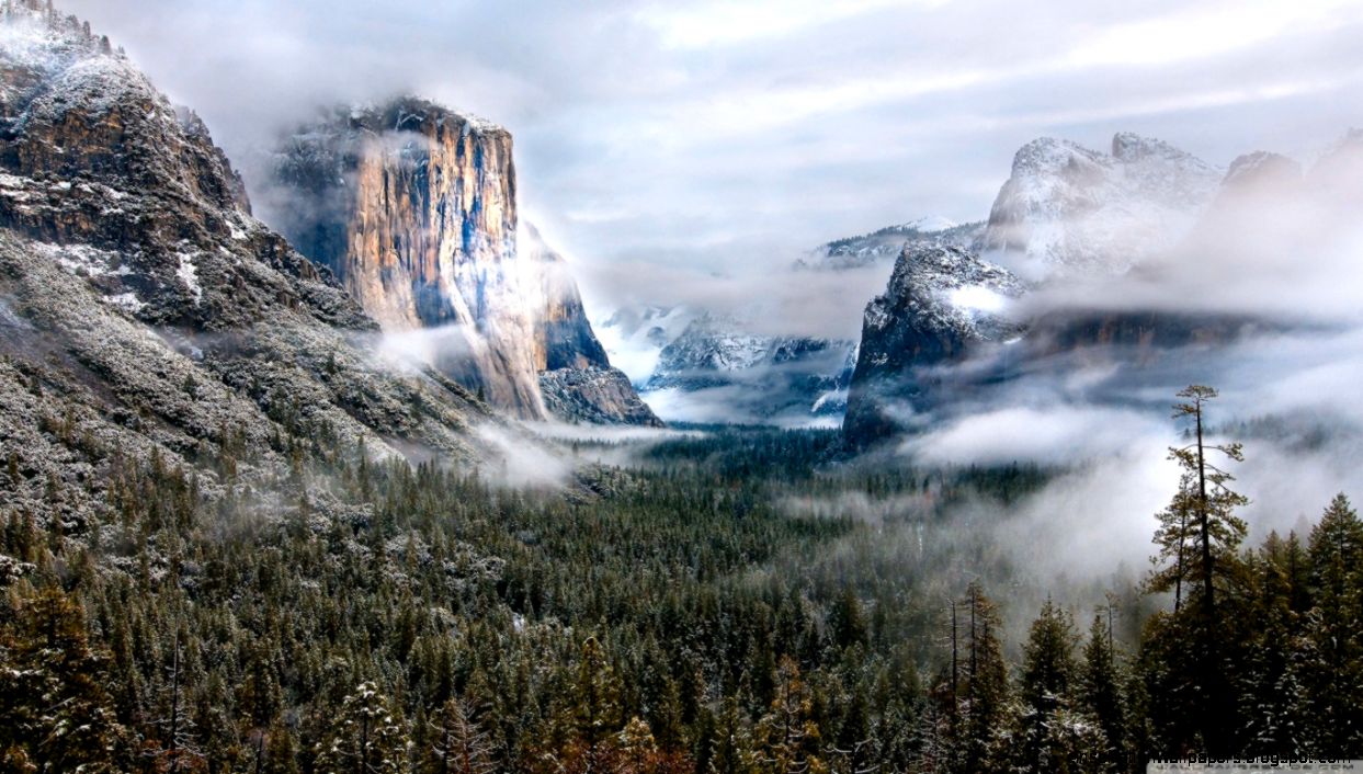 Yellowstone National Park HD desktop wallpaper  Widescreen  High