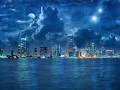 City Lights Wallpapers 