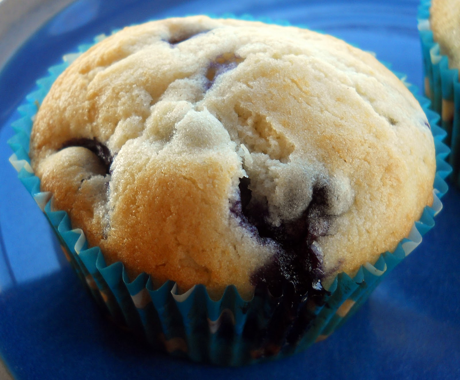Simply Yummy Blueberry Muffins
