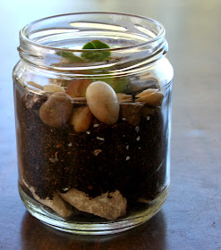 Image shows a mason jar as a small terrarium