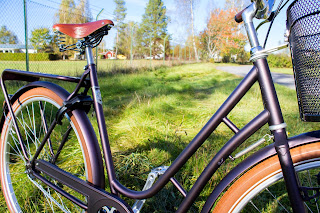 Pilen bicicleta clasica nuevo color durapurple