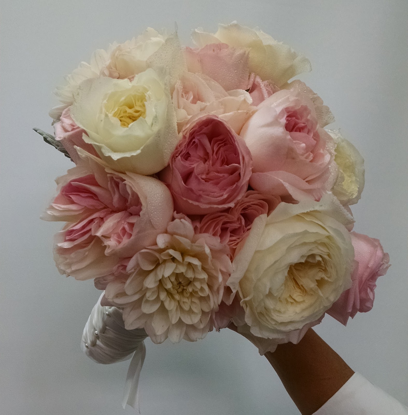 Edelweiss Flower Boutique and Florist