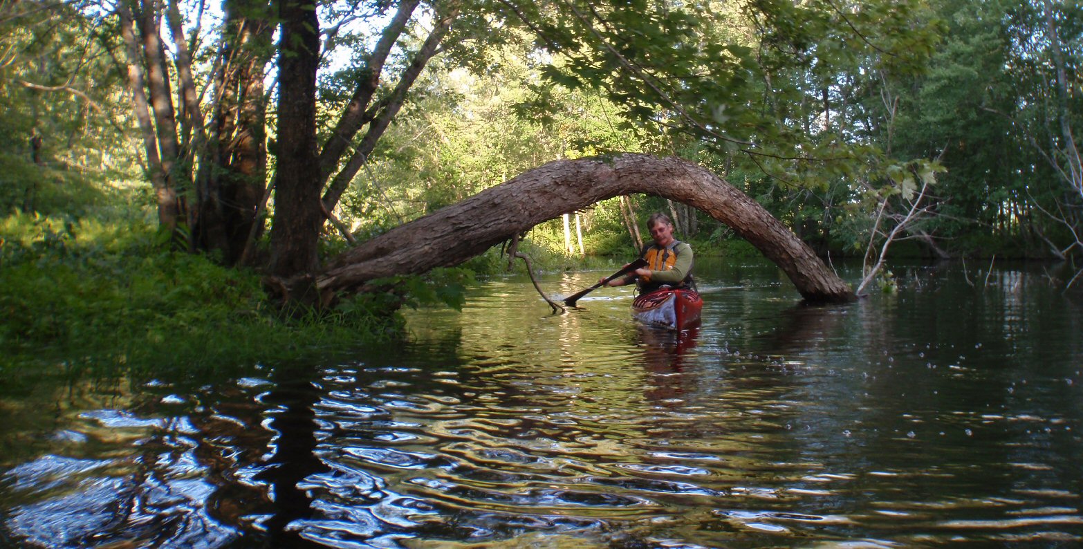 PenobscotPaddles Hermon Pond and the tranquility of small streams