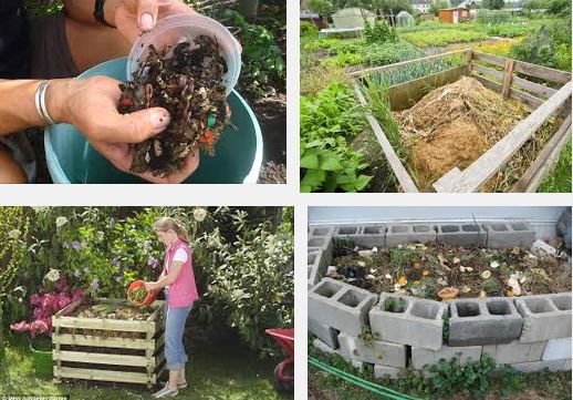  Make your own compost