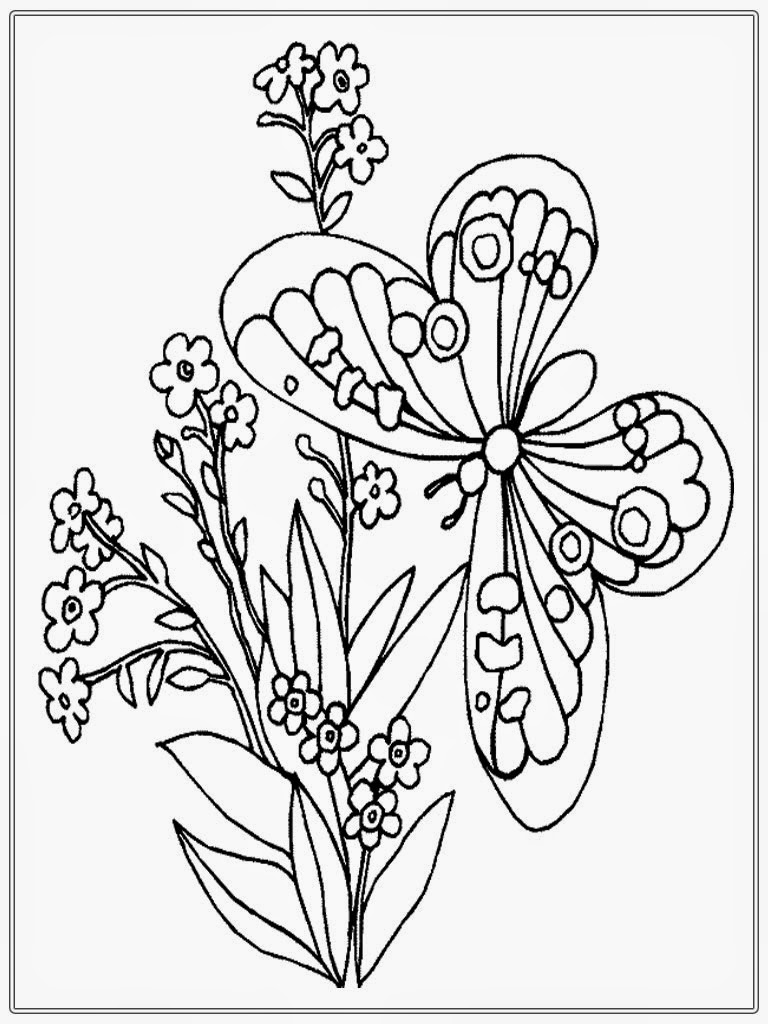 Adult Coloring Pages Butterfly | Realistic Coloring Pages