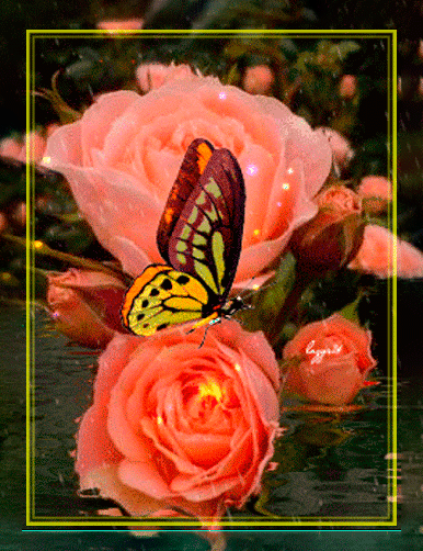 hermosa-flor-naranja.gif