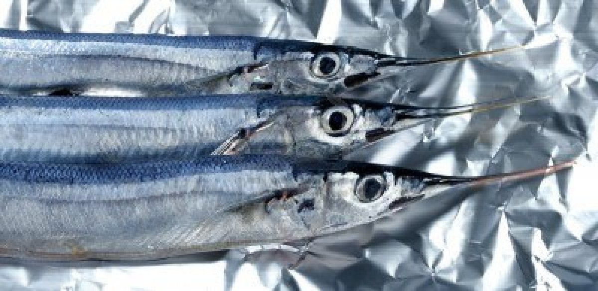 Recetas elegidas Pez aguja en adobo