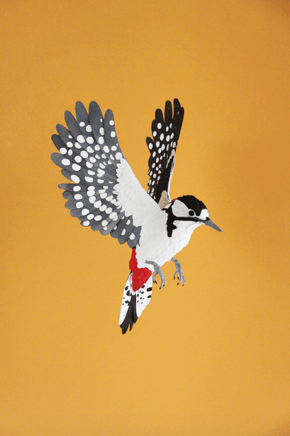 Diana Beltrán Herrera Esculturas de pájaros