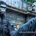 3 New Movie Clips Of Dawn of the Planet of the Apes