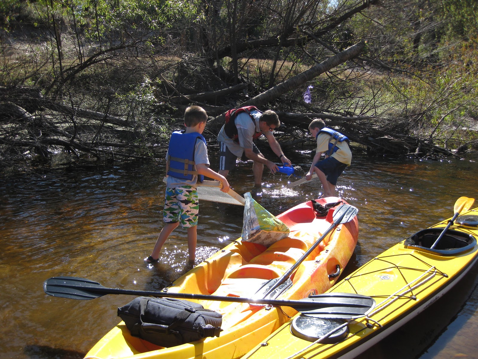 Family Outdoor Adventures Peace River Fossil Hunting
