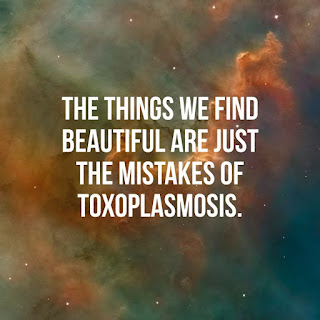 The things we find beautiful are just the mistakes of Toxoplasmosis.