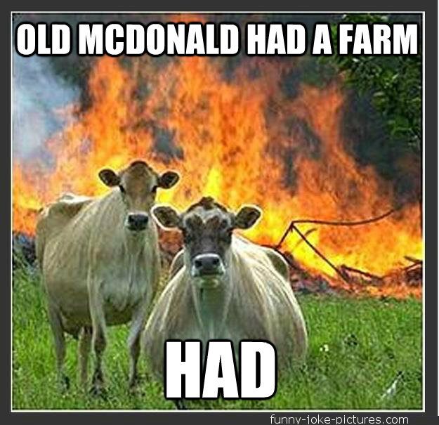 Old Mcdonald Farm Cows ~ Funny Joke Pictures