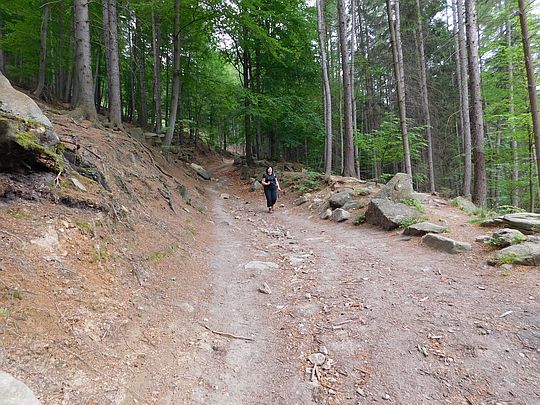 Zejście do Janowic Wielkich. Zejście do Janowic Wielkich.