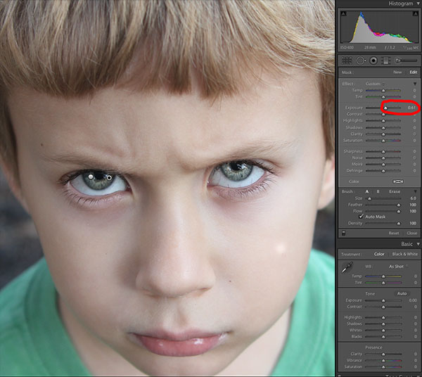 The Blog Lightroom Tutorial Pretty Eyes in Lightroom 4 and up!