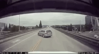 how_did_they_even_get_their_driving_licenses_22.gif