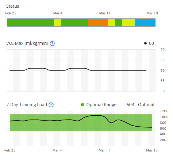 Stationary Waves Comparing Garmin's Training Status And Strava's