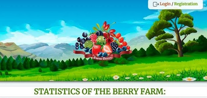 FARM BERRY