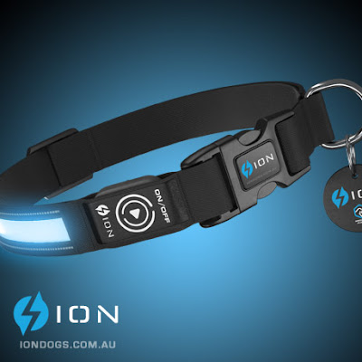 really cool dog collars