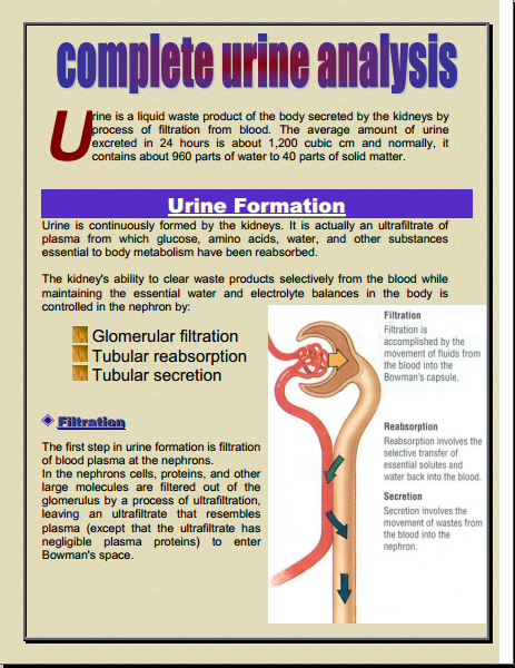 Complete Urine analysis