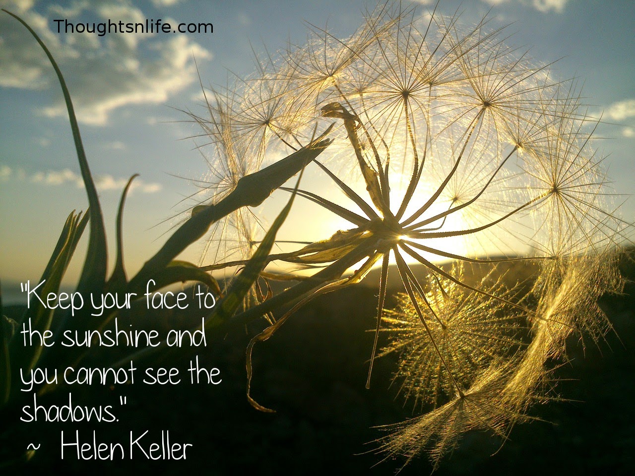 Thoughtsnlife.com: "Keep your face to the sunshine and you cannot see the shadows."   ~   Helen Keller