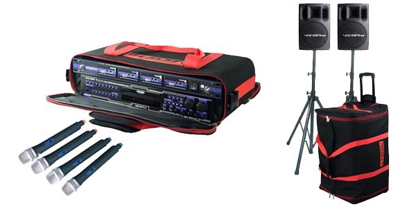 Do You Need a Professional Karaoke Machine