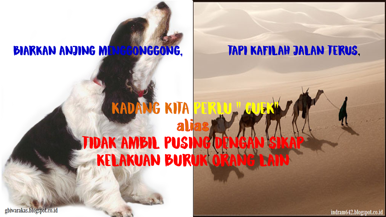 Gbi Warakas Biarkan Anjing Menggonggong