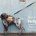 5 Best Dog Backpacks Reviewed | Pros and Cons for Your Dog's Build