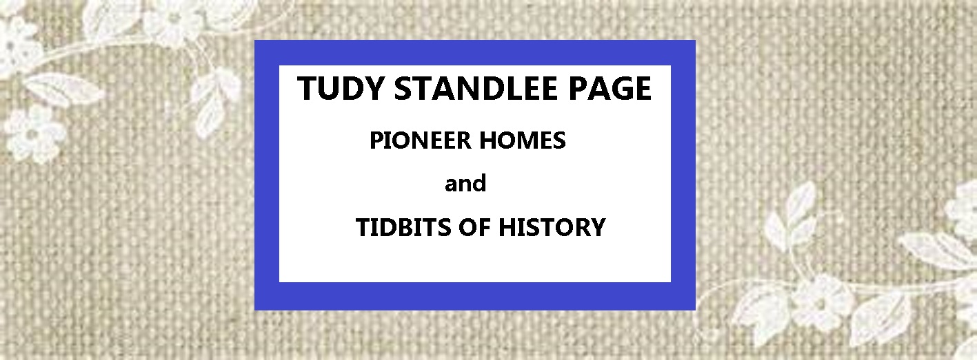 Tudy Standlee Page    ~    Mt. Pleasant Pioneer Homes and Tidbits of History