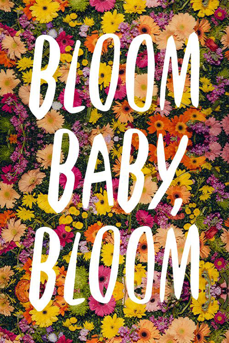 Tigerlilly Quinn Bloom baby bloom!