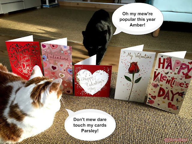 Feline Fiction on Fridays #119 at Amber's Library ©BionicBasil® Valentine's Throwback 2018