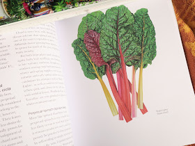 Perpetual Spinach and Swiss Chard in 'The Salad Garden' by Joy Larkcom'.