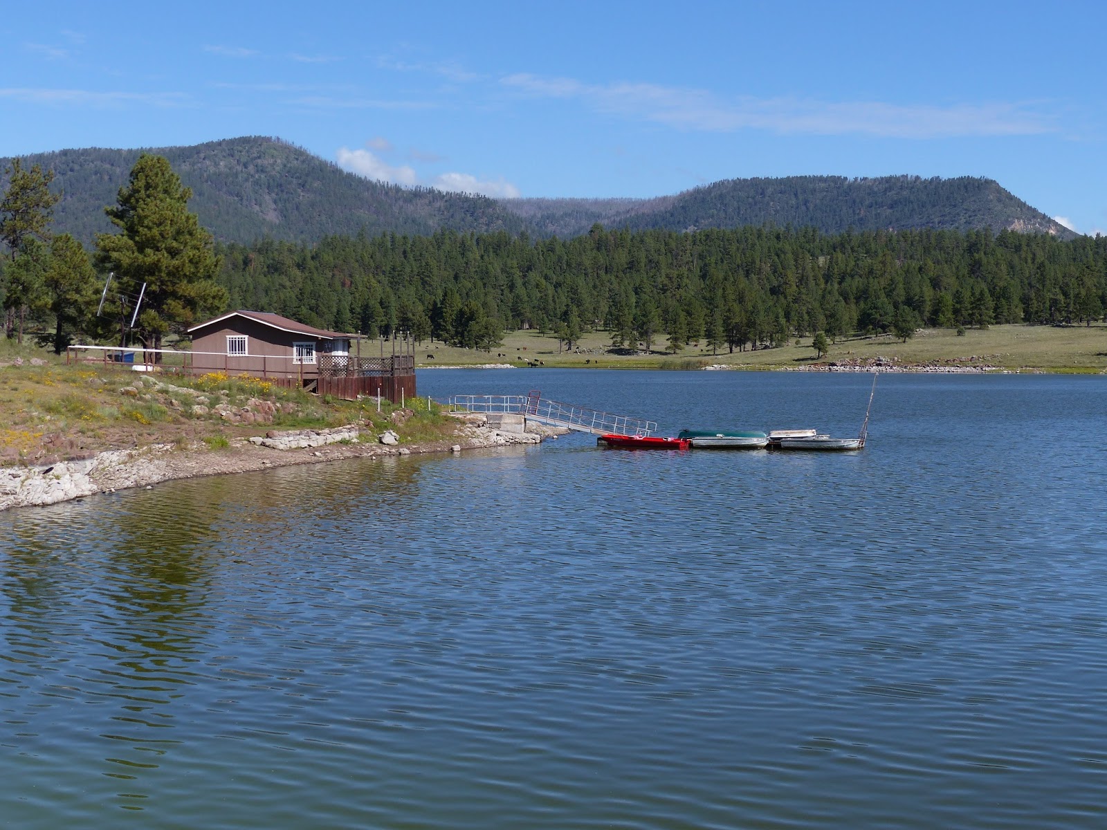 Land Cruising Adventure Luna Lake Campground Alpine Arizona