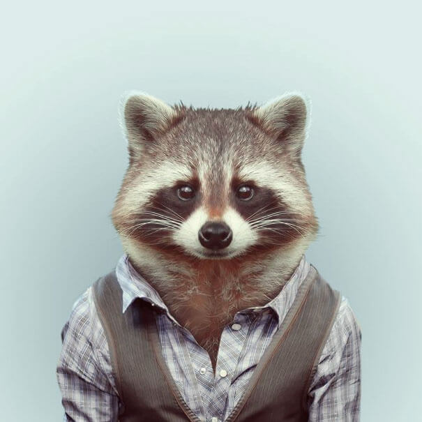 36 Adorable Portraits Of Baby Animals Dressed Like Humans 36 Adorable Portraits Of Baby Animals Dressed Like Humans