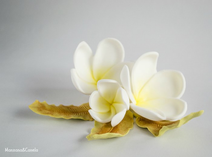 Como Hacer Flores con Fondant