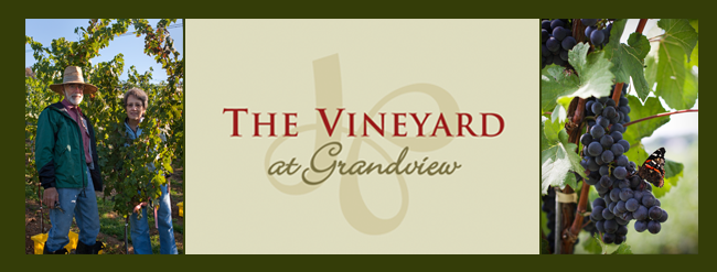 The Vineyard at Grandview