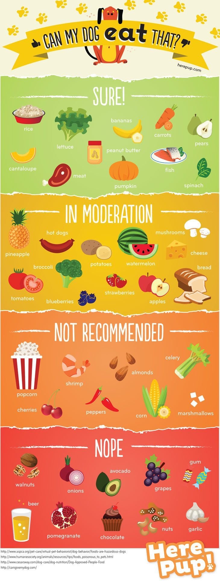 Can My Dog Eat That #infographic