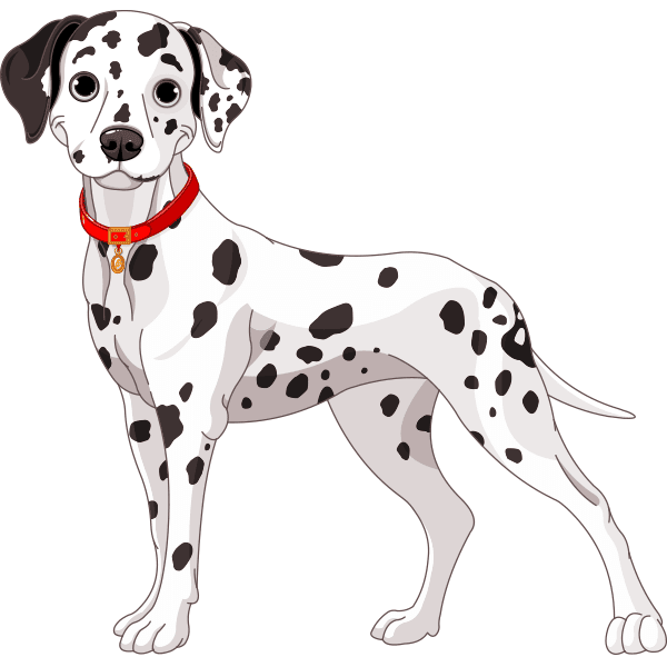 Spotted Dog