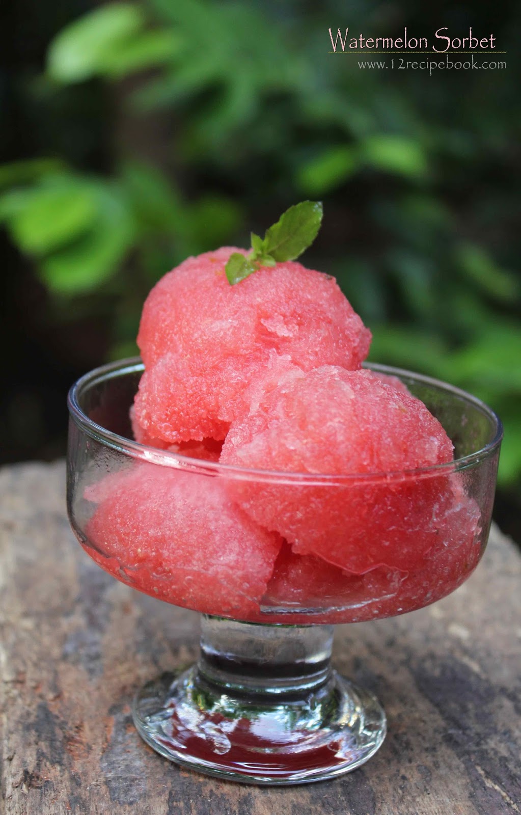 Watermelon Sorbet Recipe Book