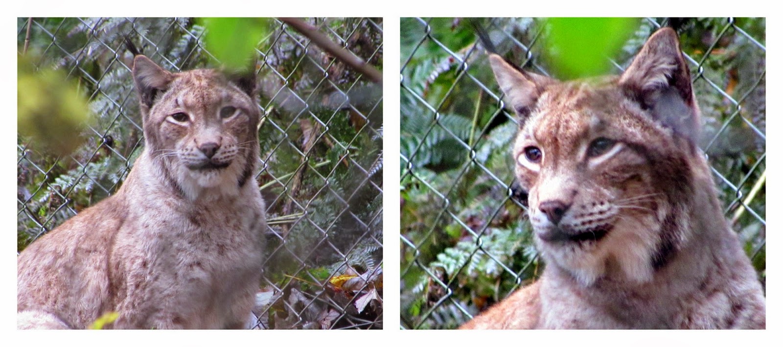 The Glebe Blog 10/2014