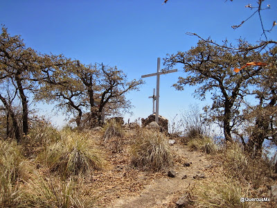 Cruces blancas en la Sierra del Tecuán