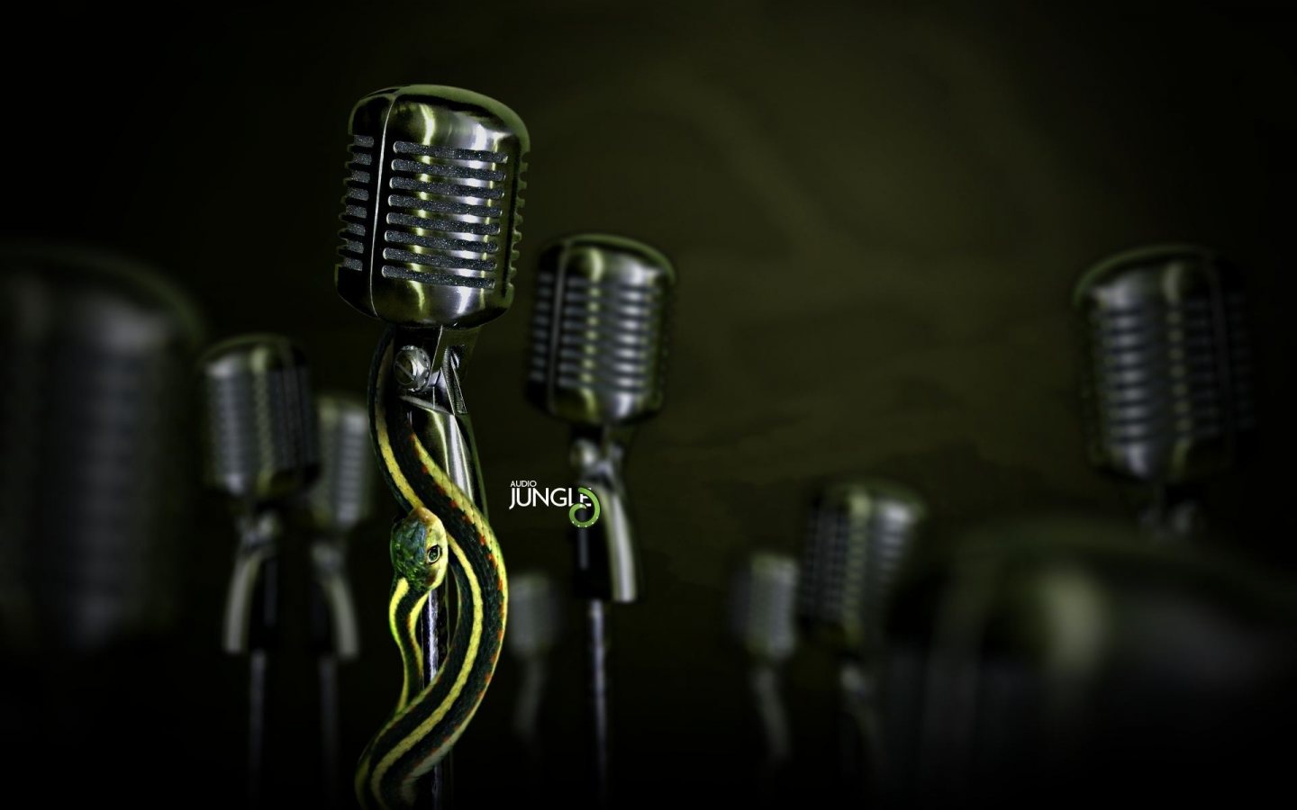 Audio Jungle Microphone HD wallpapers Walls 9