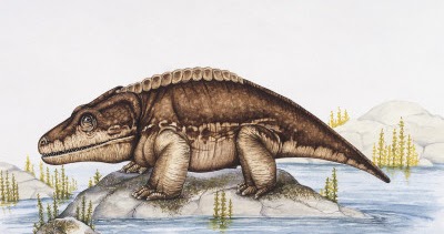 EL JOVE PALEONTÒLEG animals prehistòrics CACOPS