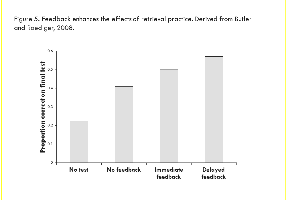 Testing Effect Learning Effects