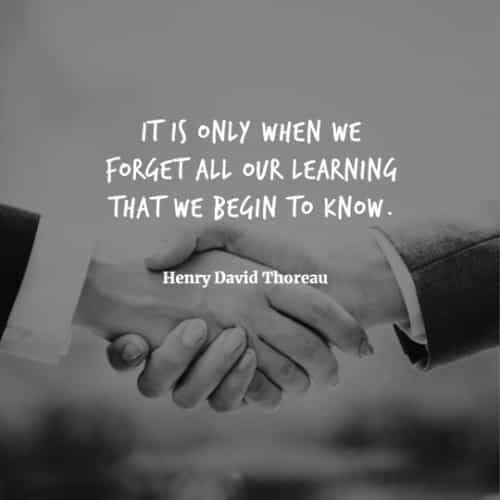 Learning quotes that'll help you become successful Learning quotes that'll help you become successful