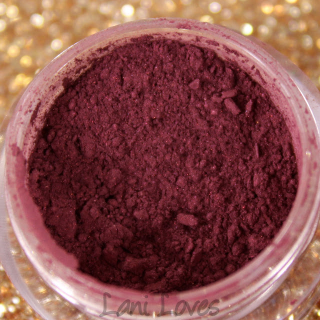 Notoriously Morbid Baroness Eyeshadow Swatches & Review