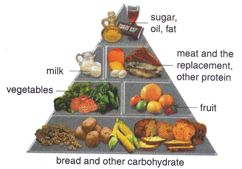 Balance Menu Examples General Guidance of Balanced Nutrition - New Science Biology