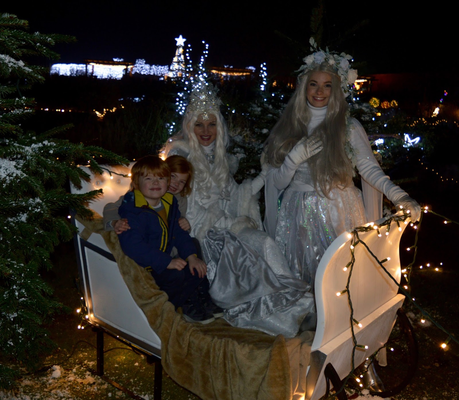 Winter Wonderland Christmas Light Show A Wynyard Hall Garden Event