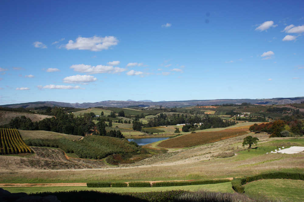 Almenkerk Winery, Elgin