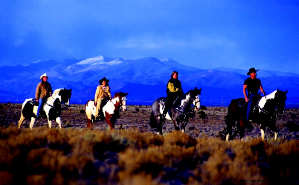 TOURISM Santa Fe Shopping  Search Results  Motorcycles